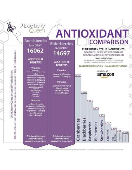 Jarabe de Saúco Orgánico Elderberry Queen 340g - Soporte Inmunológico