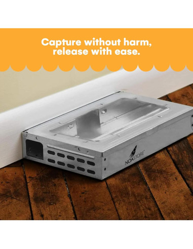 Trampas Humanas para Ratones Noa Store - Paquete de 4 Reutilizables