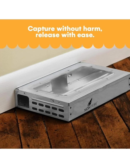 Trampas Humanas para Ratones Noa Store - Paquete de 4 Reutilizables