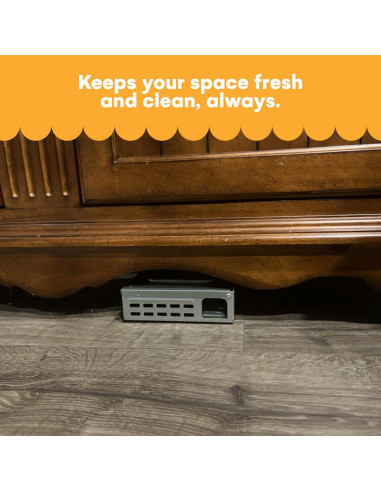 Trampas Humanas para Ratones Noa Store - Paquete de 4 Reutilizables