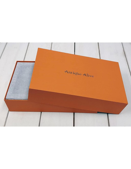 Caja de Gafas de Sol de Madera Antique Alive con 6 Compartimentos