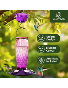 Alimentador de Colibrí Kingsyard de Vidrio 680g Rosa y Púrpura 2