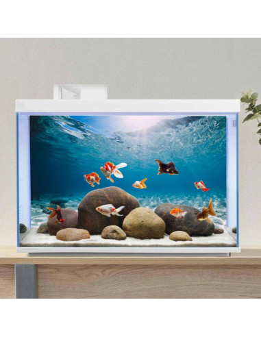 Fondo de Acuario 60x30 cm AWERT Tema Submarino HD