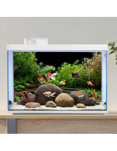 Fondo de Acuario AWERT Vinilo 60x30 cm con Cinta Doble Cara