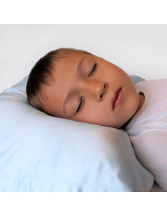 Funda de Almohada de Seda Mulberry Park 33x46 cm Azul 2