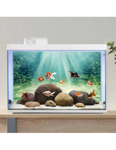 Fondo de Acuario 60x30 cm AWERT Poliester HD