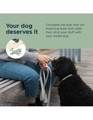 Dispensador de Bolsas de Excremento para Perros Diggs Gris - Incluye Bolsas y Soporte Fácil