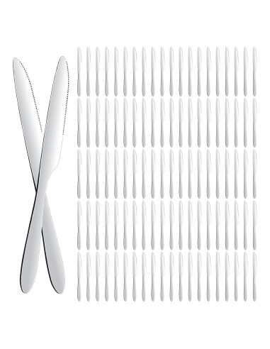 Juego de 100 Cuchillos de Cena Nuenen 21 cm Acero Inoxidable