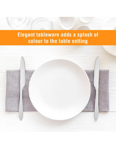 Juego de 100 Cuchillos de Cena Nuenen 21 cm Acero Inoxidable