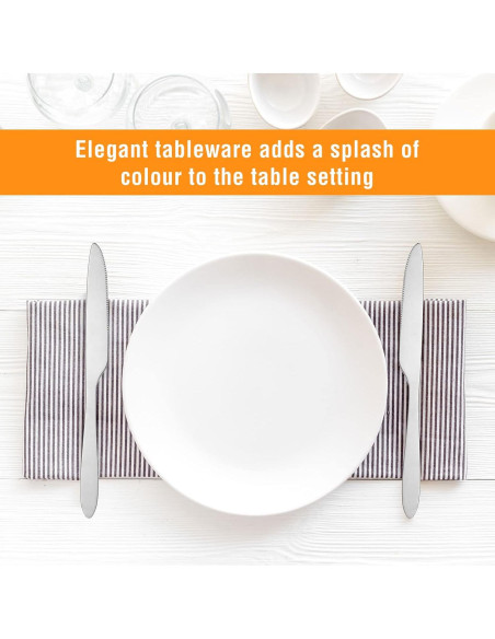 Juego de 100 Cuchillos de Cena Nuenen 21 cm Acero Inoxidable