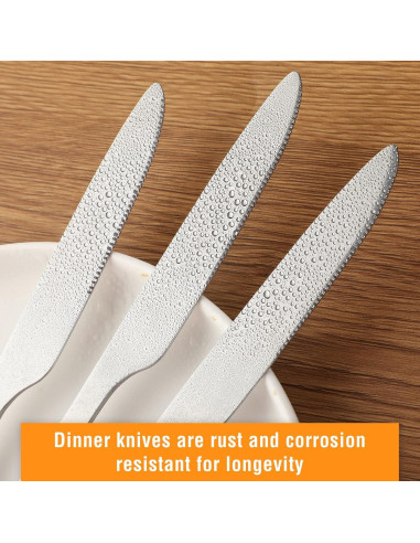 Juego de 100 Cuchillos de Cena Nuenen 21 cm Acero Inoxidable