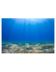 Fondo de Acuario Vinilo 60x30cm Riivvdise Azul HD