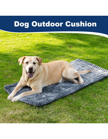 Alfombrilla Antideslizante para Mascotas ECAPTROD 63x137 cm