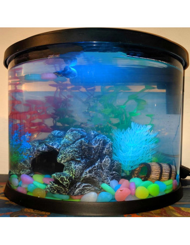 Rocas Brillantes Multicolor LIFEBESTONE 150 Pcs 0.45 kg