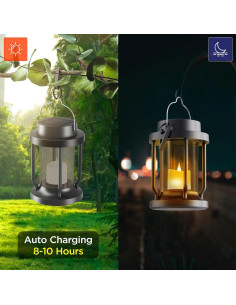 Linterna Solar Colgante FriutShine L01 - 2 Paquete, 17cm 2