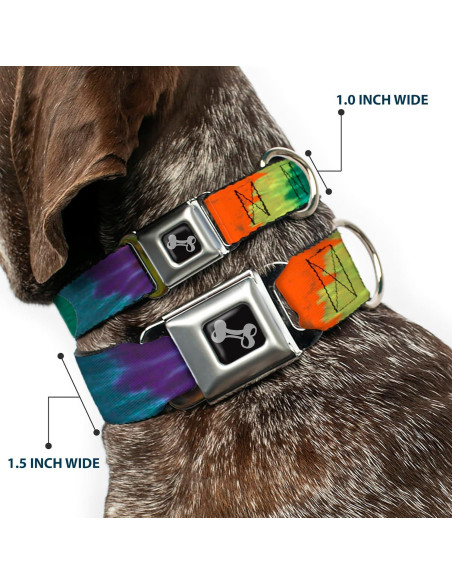 Collar de Perro Buckle-Down Tie Dye 1.0 cm Ancho 23-38 cm