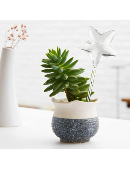 Globo de Riego Automático Yahpetes 10 Unidades 89ml