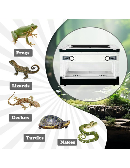 Caja de Alimentación para Reptiles PINVNBY 39.6x29.5x24.1 cm Negra