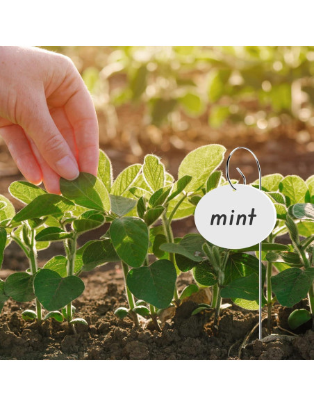 25 Etiquetas de Acrílico para Jardín Morledoa con Estacas