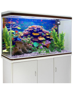 Fondo de Acuario Temático AWERT 60x30 cm Vinilo Coral 2