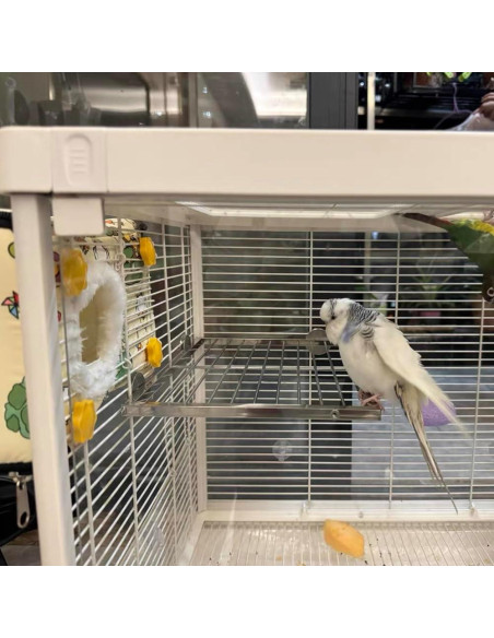 Juego de 2 Piezas Plataforma y Escalera Acero Inoxidable Nopikku