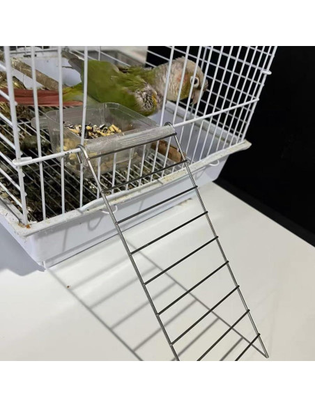 Juego de 2 Piezas Plataforma y Escalera Acero Inoxidable Nopikku