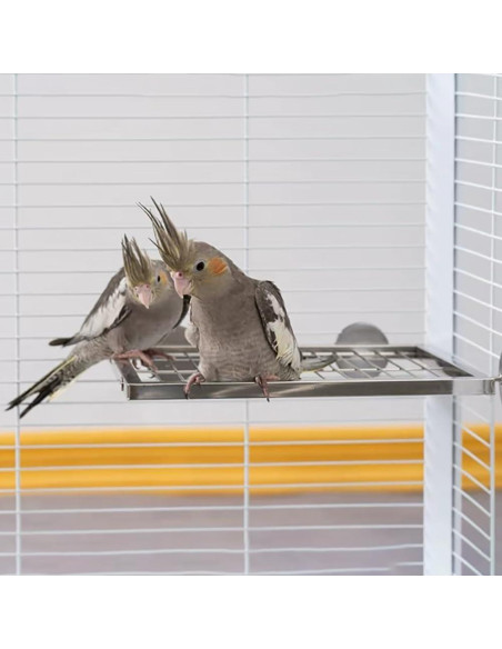 Juego de 2 Piezas Plataforma y Escalera Acero Inoxidable Nopikku