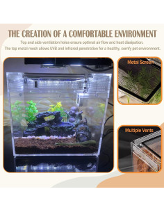 Terrario para reptiles Acsist 20x20x15cm con accesorios 2