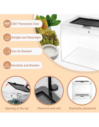 Terrario para reptiles Acsist 20x20x15cm con accesorios