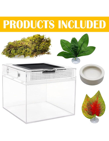 Terrario para reptiles Acsist 20x20x15cm con accesorios