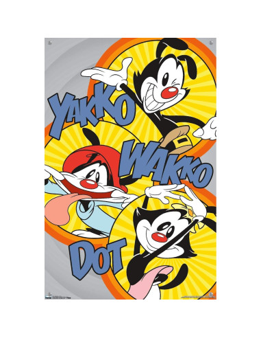 Póster de Pared Animaniacs Trends International 37.4x56.8cm