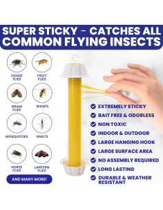 Trampas de Moscas Adherentes BugBane 6 Piezas No Tóxicas 2