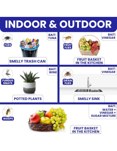 Trampas de Moscas Adherentes BugBane 6 Piezas No Tóxicas