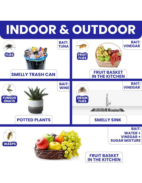 Trampas de Moscas Adherentes BugBane 6 Piezas No Tóxicas
