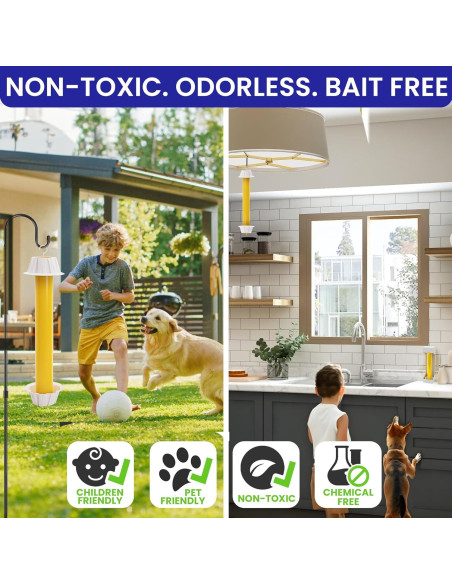 Trampas de Moscas Adherentes BugBane 6 Piezas No Tóxicas