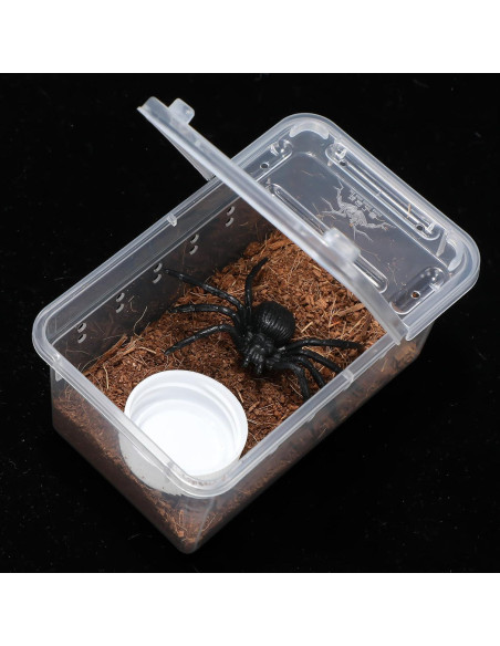 Caja de Cría de Reptiles Irenare 8 Pcs 11x7x7.5 cm