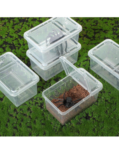 Caja de Cría de Reptiles Irenare 8 Pcs 11x7x7.5 cm