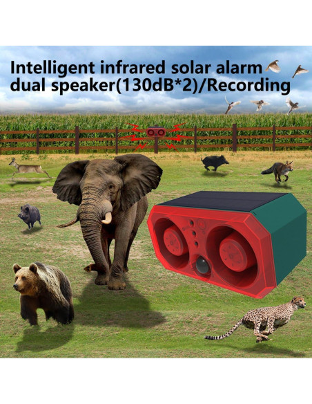 Detector de Movimiento Solar ROYELLE con Sirena y Control Remoto