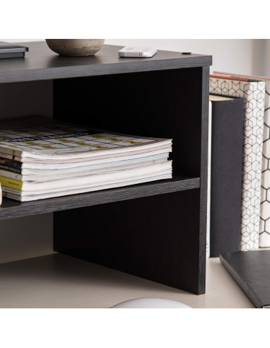 Soporte Organizador de Monitor IRIS USA 2 Niveles Negro