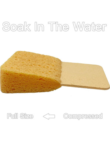 Esponjas de Celulosa Extra Gruesas NBStarTech H33 - 4 Pcs