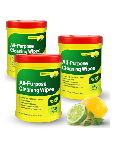 Toallitas de limpieza multiusos RTS 3 paquetes de 160 unidades