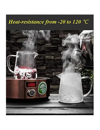 Tetera de vidrio Newraturner 550ML con infusor acero inoxidable