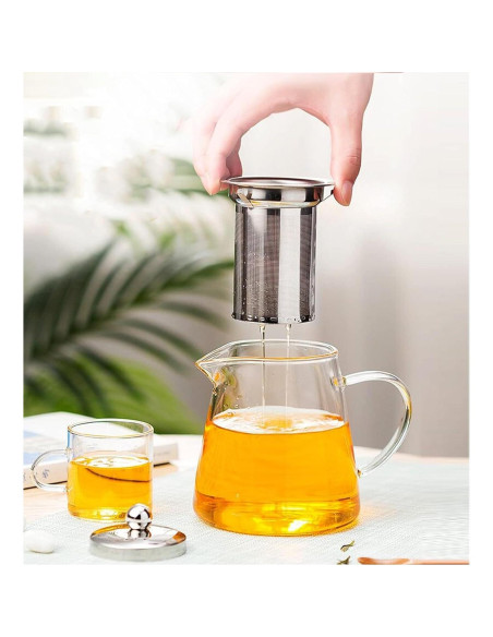 Tetera de vidrio Newraturner 550ML con infusor acero inoxidable