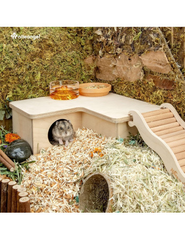 Casa Laberinto para Hámster Niteangel - Pequeña 3 Habitaciones