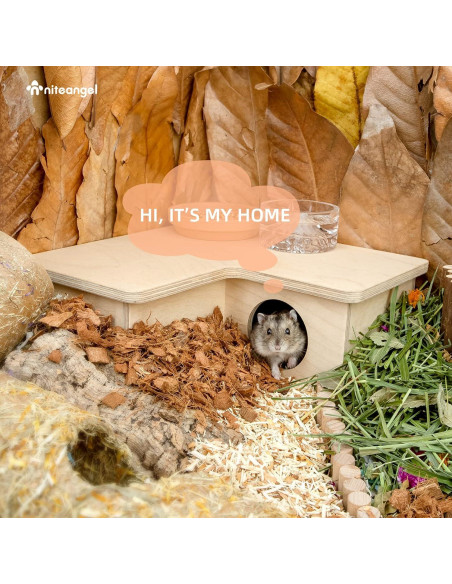 Casa Laberinto para Hámster Niteangel - Pequeña 3 Habitaciones