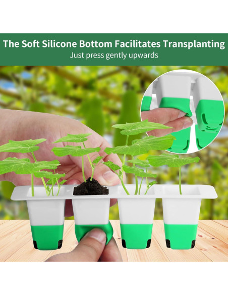 Bandeja de Inicio de Semillas Sondiko 80 Celdas Silicona Verde