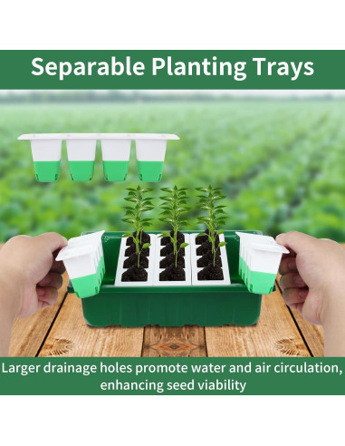 Bandeja de Inicio de Semillas Sondiko 80 Celdas Silicona Verde