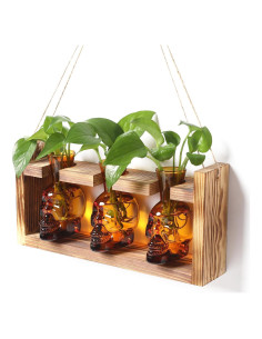 Jarrón de Vidrio Calavera con Soporte de Madera YYHglass