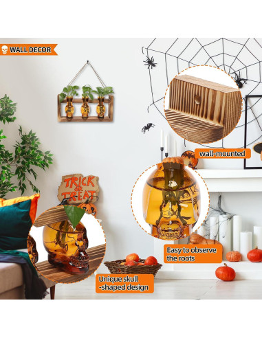 Jarrón de Vidrio Calavera con Soporte de Madera YYHglass