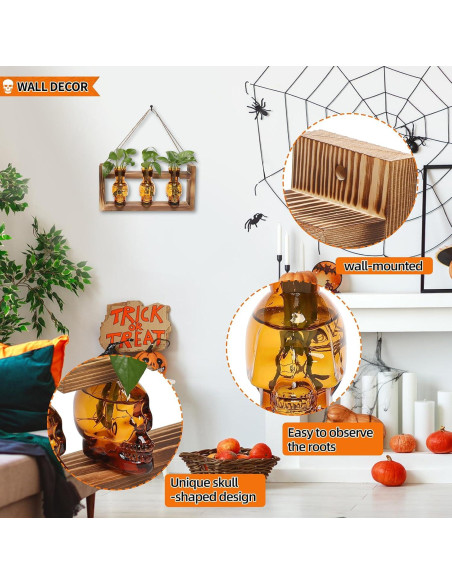 Jarrón de Vidrio Calavera con Soporte de Madera YYHglass